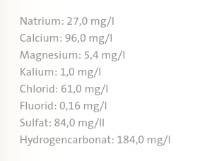 Salvus natürliches Mineralwasser classic mit Kohlensäure, 12 x 1.5 l Flasche EINWEG
