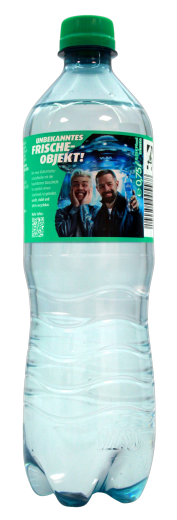 Vilsa Bio natürliches Mineralwasser Medium, 12 x 0.75 l Flasche EINWEG