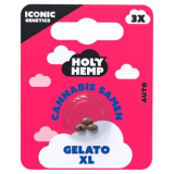 Holy Hemp Cannabis Samen Gelato XL, 5 x 3 Samen