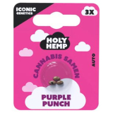 Holy Hemp Cannabis Samen Purple Punch, 5 x 3 Samen