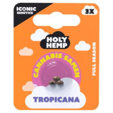 Holy Hemp Cannabis Samen Tropicana, 5 x 3 Samen
