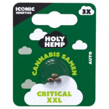 Holy Hemp Cannabis Samen Critical XXL, 5 x 3 Samen