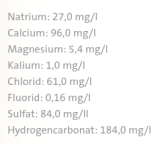 Salvus natürliches Mineralwasser medium mit Kohlensäure, 12 x 0.5 l Flasche EINWEG