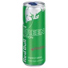 Red Bull Green Edition Kaktusfrucht, 24 x 250ml Dosen EINWEG