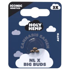 Holy Hemp Cannabis Samen NL X Big Buds, 5 x 3 Samen