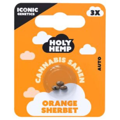 Holy Hemp Cannabis Samen Orange Sherbert, 5 x 3 Samen